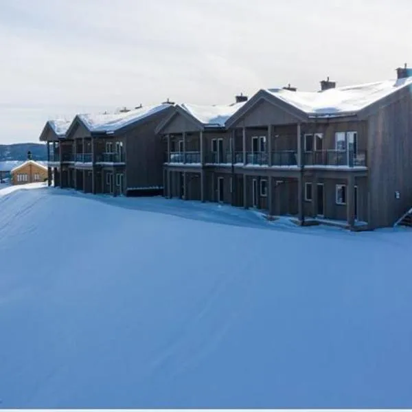 Perfect Christmas atmosphere! Beautiful Apartment at Skagahøgdi with Panoramic View，位于高尔的酒店