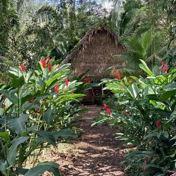 Sun Creek Lodge，位于蓬塔戈尔达的酒店