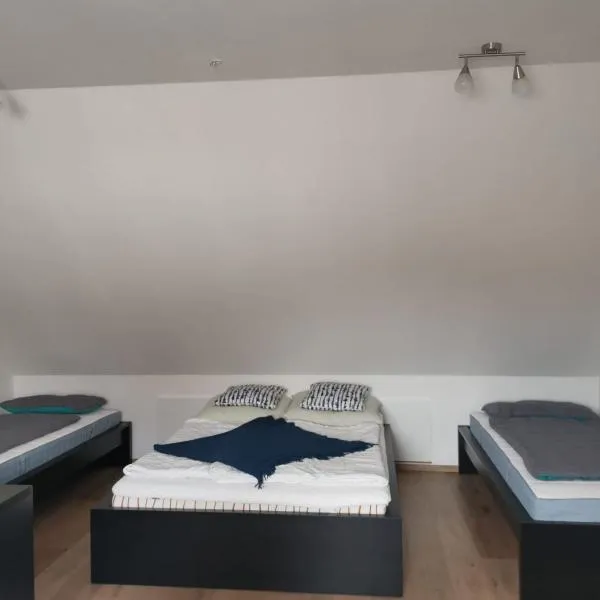 Messe Apartment BIN，位于希尔德斯海姆的酒店