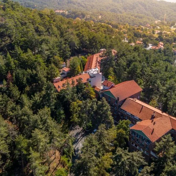森林公园酒店，位于Saittas的酒店