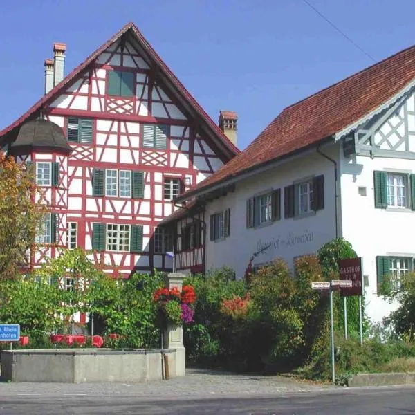 Hirschen Stammheim，位于高莱茵河畔布辛根的酒店