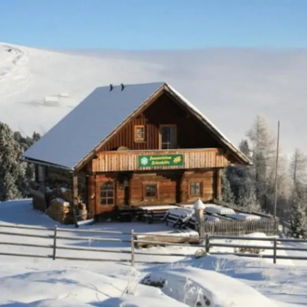 Zirbenhütte am Falkert auf der Heidi-Alm，位于Hinterkoflach的酒店