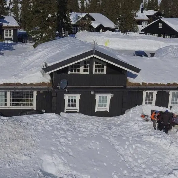 Stor familiehytte på Småsætra, Sjusjøen，位于斯朱森的酒店