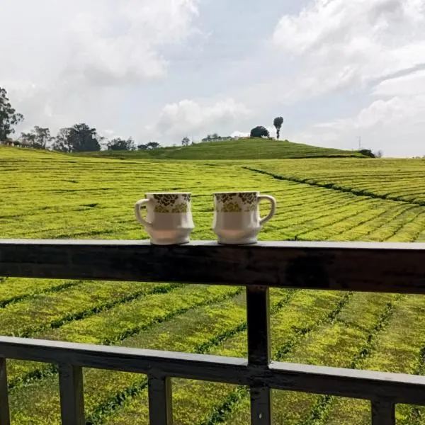 Tea Estate view stay，位于乌提的酒店