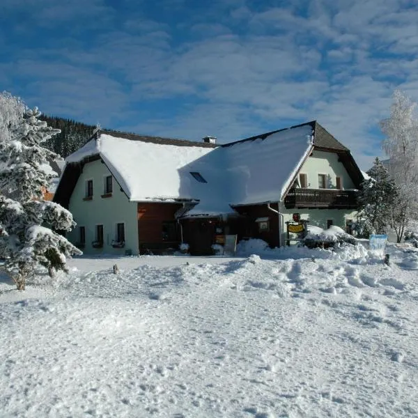 Pension Holzmeister，位于Breitenau am Hochlantsch的酒店