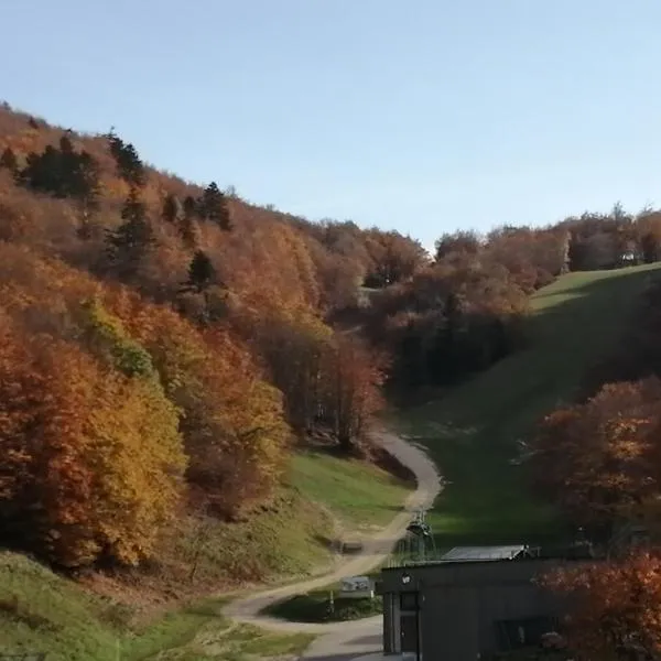 petit nid montagnard，位于Rousset的酒店