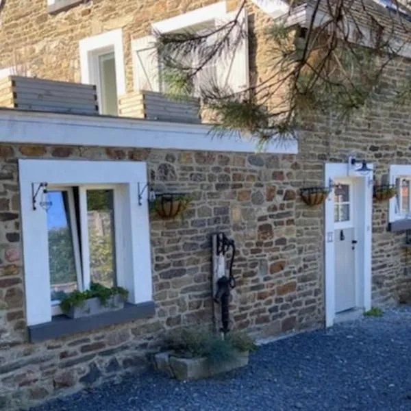 PINE COTTAGE- 5 minutes Francorchamps - charme -piscine-calme-jardin，位于Sart的酒店