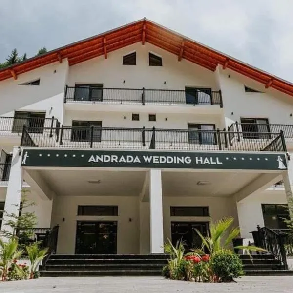 ANDRADA WEDDING HALL，位于Repedea的酒店