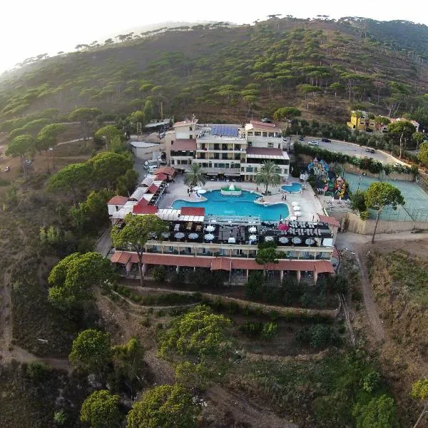 Pineland Hotel and Health Resort，位于West Bekaa的酒店