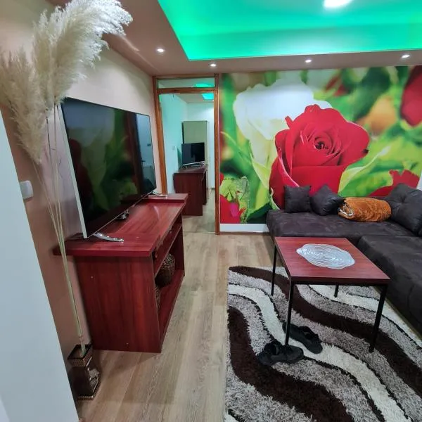 Apartman's Ana Pale-OC Jahorina No.2，位于帕莱的酒店