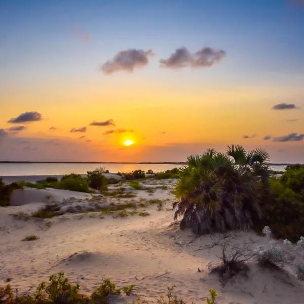 Kizingo Beach Eco Lodge，位于拉穆的酒店