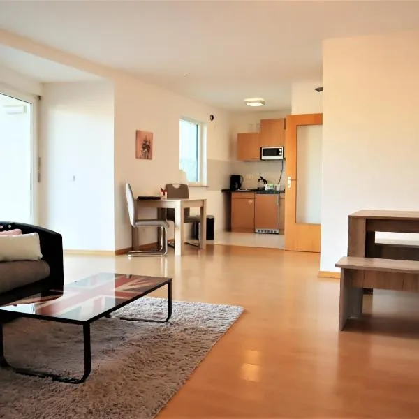 Ferienwohnung am Clara Park,位于莱比锡的酒店