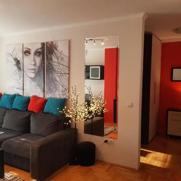 Rajiceva 5- apartman sa prostranom terasom i garaznim mestom，位于克拉古耶瓦茨的酒店