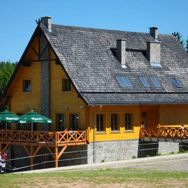 Góra Dzikowiec "Chata Dzika"，位于Łączna的酒店