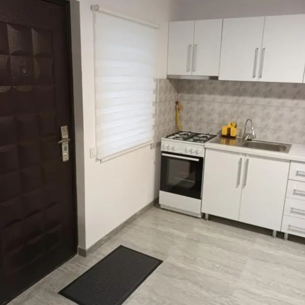 apartament de lux，位于Lupeni的酒店