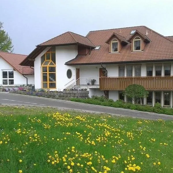 加尼施瓦兹华德酒店，位于Oberkirnach的酒店