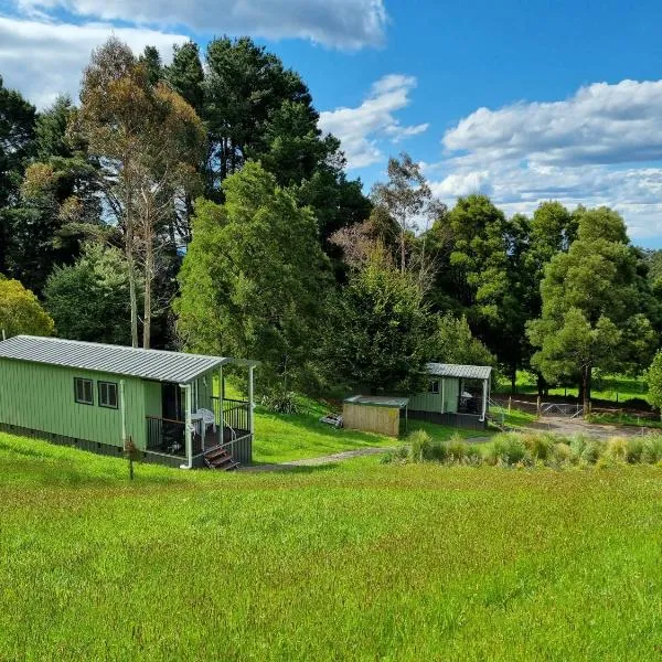 Cozy Otways Accommodation，位于Beech Forest的酒店