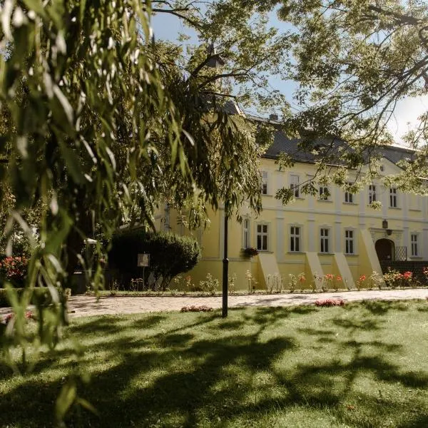 Hotel Zamek Chałupki，位于Łaziska的酒店