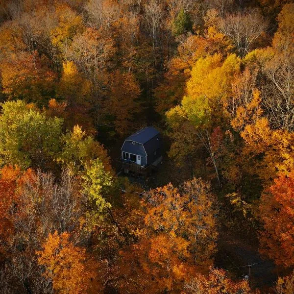 Mandy's Mountain Chalet，位于Dover的酒店