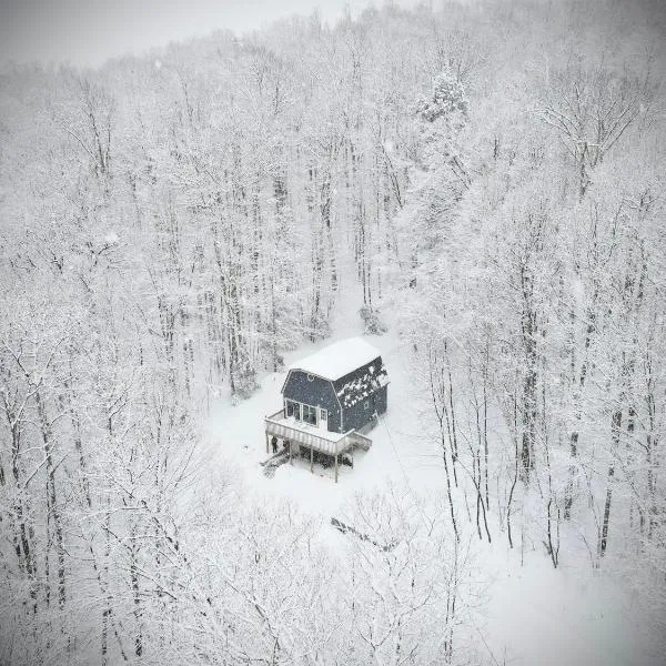 Mandy's Mountain Chalet，位于Dover的酒店