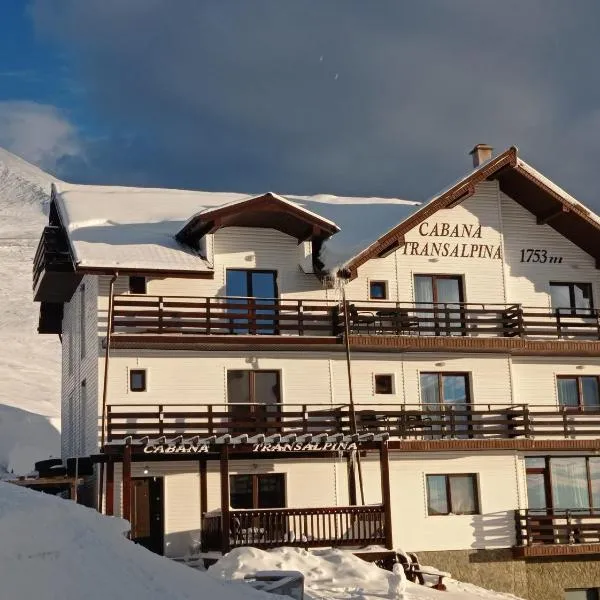 Cabana Transalpina，位于沃伊内亚萨的酒店