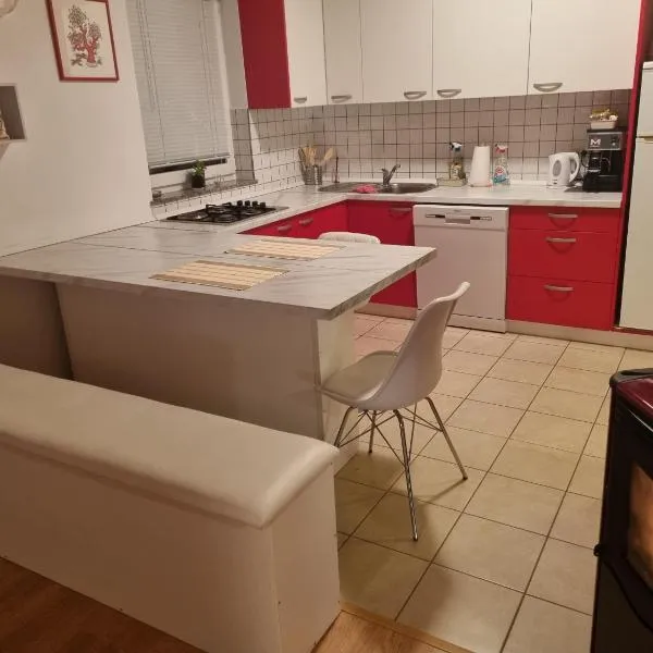 Apartman Delnice Park Srna，位于Kuželj的酒店