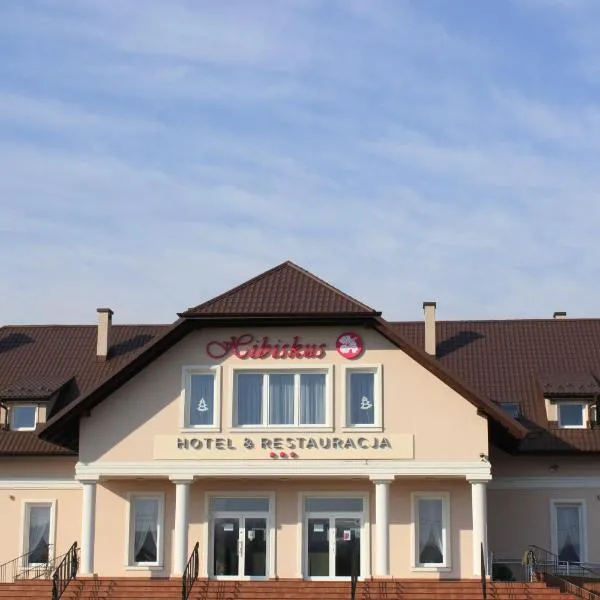 希碧斯库斯酒店，位于Baryczka的酒店