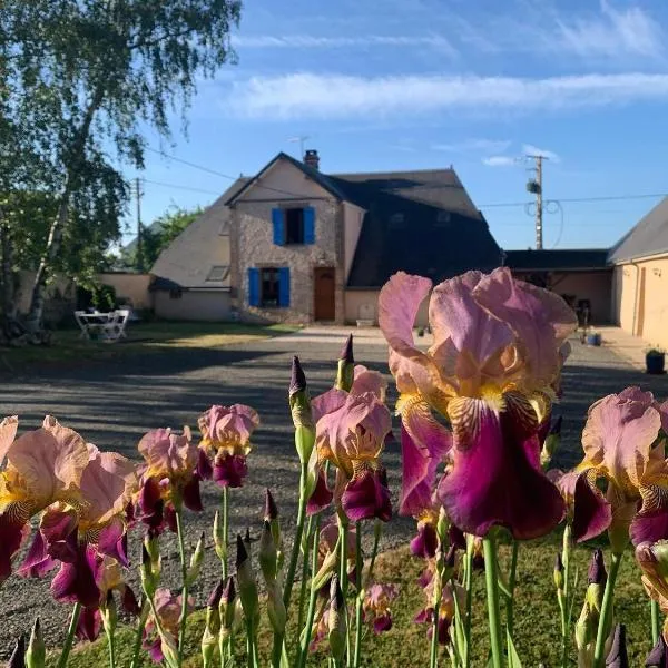 Les Logis du Breuil，位于Écurolles的酒店