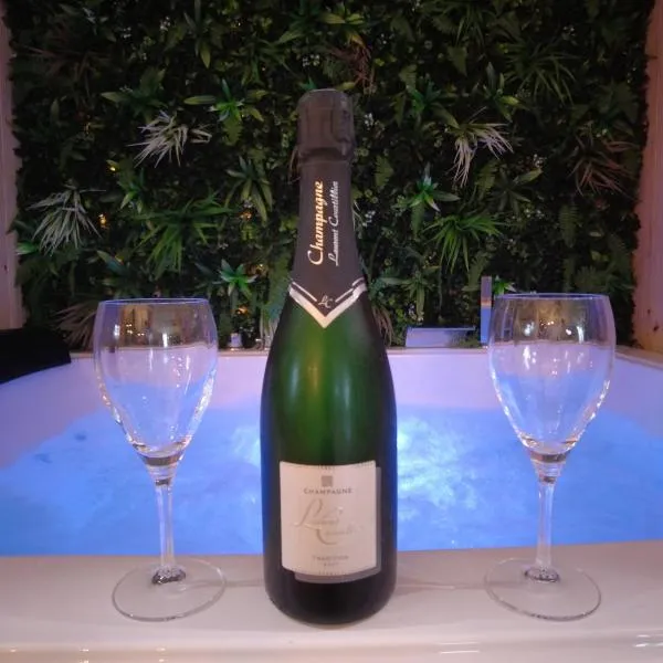 HOTEL DU BERRY - Loveroom avec Sauna, Hammam, Jacuzzi privatifs，位于Reuilly的酒店