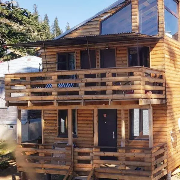 Chalet Bakhmaro，位于Bakhmaro的酒店