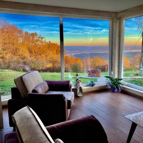 Imanje POGLED，位于阿然德洛维克的酒店