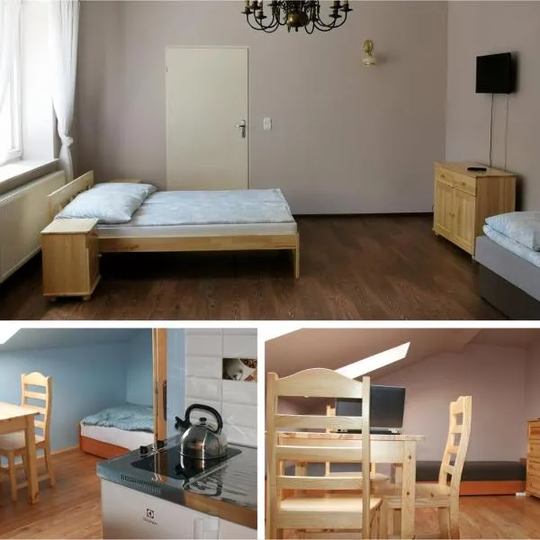 Apartament Rodzinny，位于Łopuszna的酒店