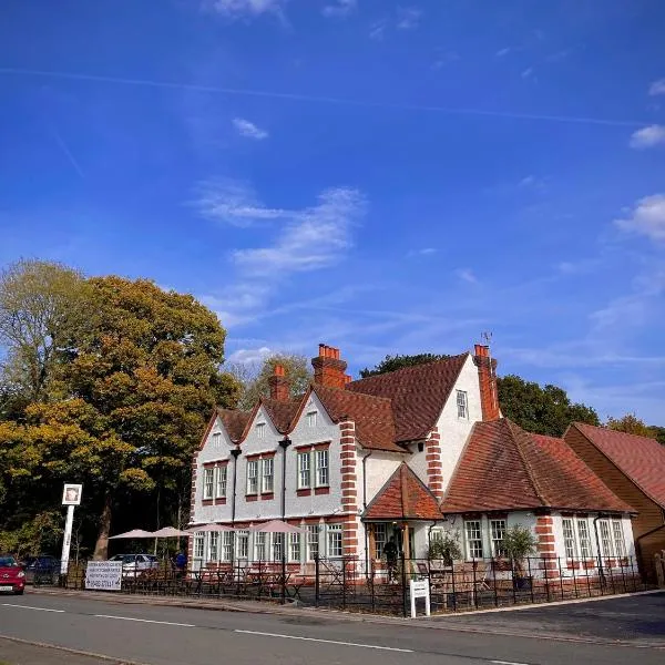 The Bulls Head Inn，位于Holmbury Saint Mary的酒店