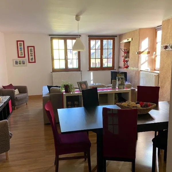 Gîte 4* Duplex centre historique Riquewihr，位于泽伦贝格的酒店