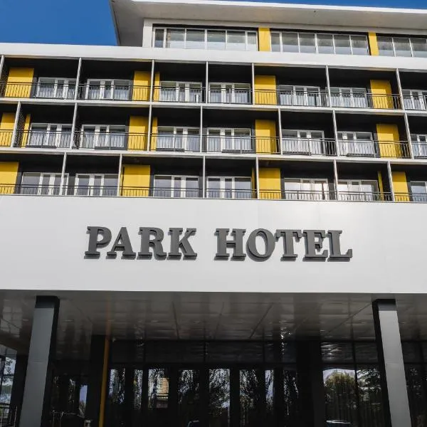 Park Hotel，位于蒂拉斯波尔的酒店