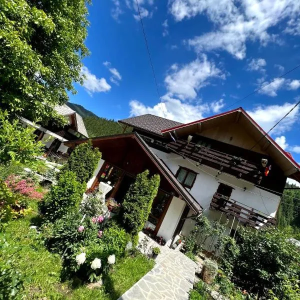 Pensiunea Bradet，位于Broşteni的酒店