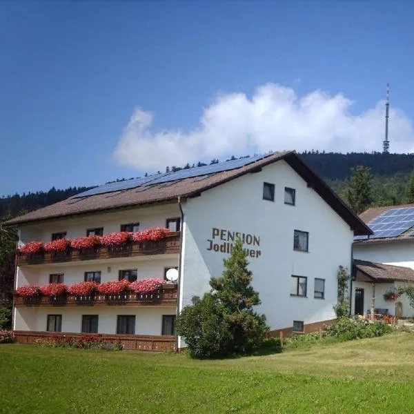 Pension Jodlbauer，位于Schöllnach的酒店