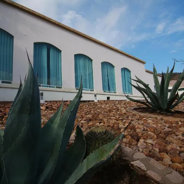 Hotel Baruk Teleférico Centro Histórico，位于Guadalupe的酒店