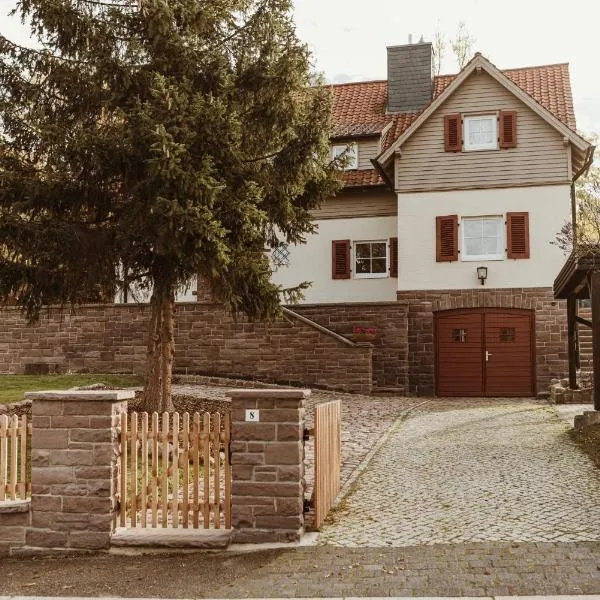 Waldchalet Am Steinberg FEWO，位于韦尼格罗德的酒店