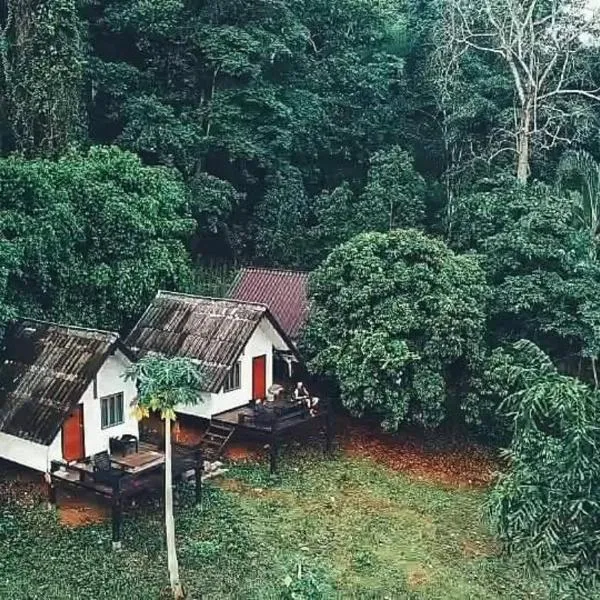 Jungle guest house，位于湄宏颂的酒店