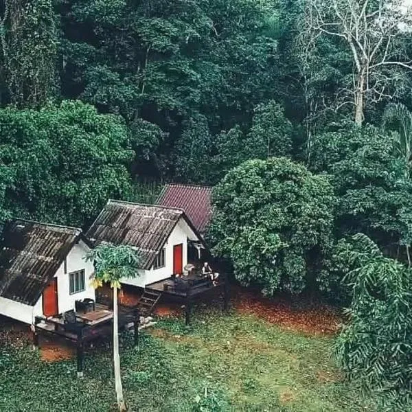 Jungle guest house，位于Pang Mapha的酒店