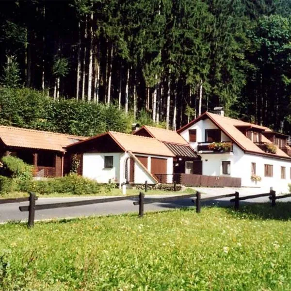 玛卡恰旅馆，位于Šošŭvka的酒店