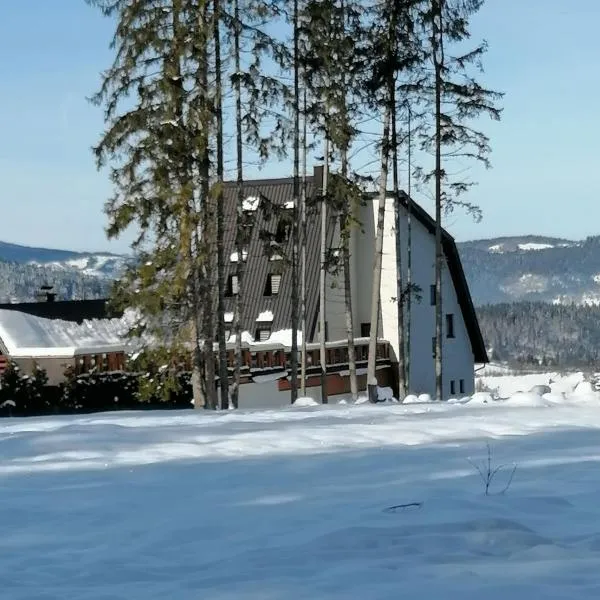 Planinska Kraljica，位于亚霍里纳的酒店