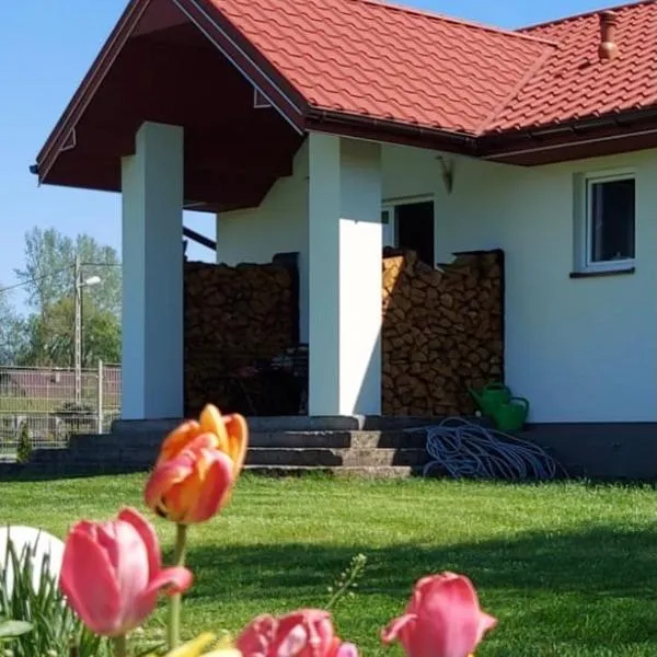 Wygodny Dom na Ponidziu z Basenem，位于Odonów的酒店