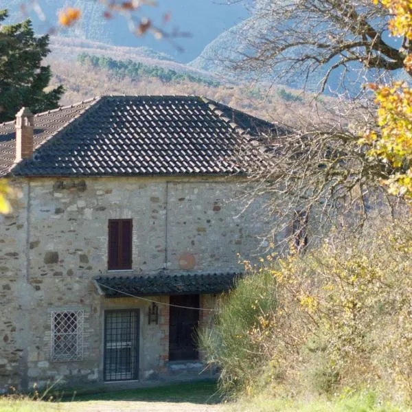 Agriturismo La Malcontenta e il Lupo，位于托迪的酒店