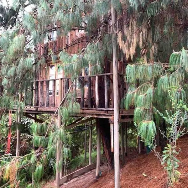 Cabin at Blueberry Farm，位于苏巴乔克的酒店