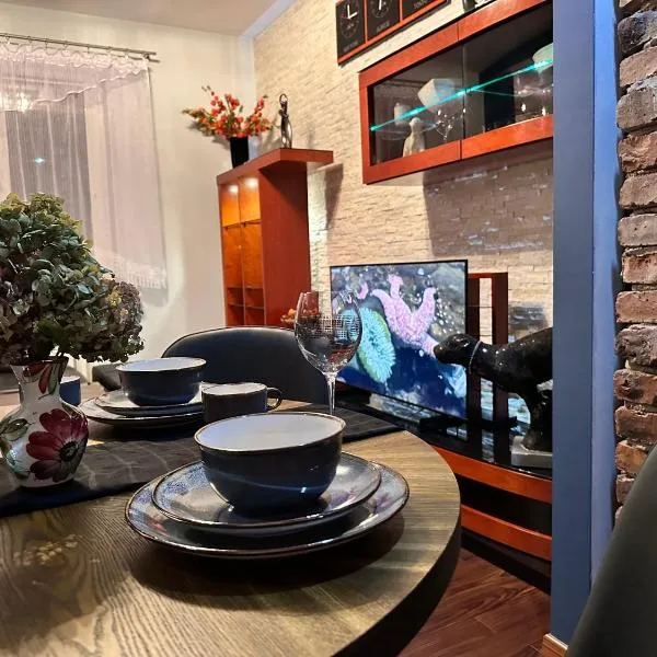 Be Inn - Luxury Apartment Gliwice，位于格利维采的酒店