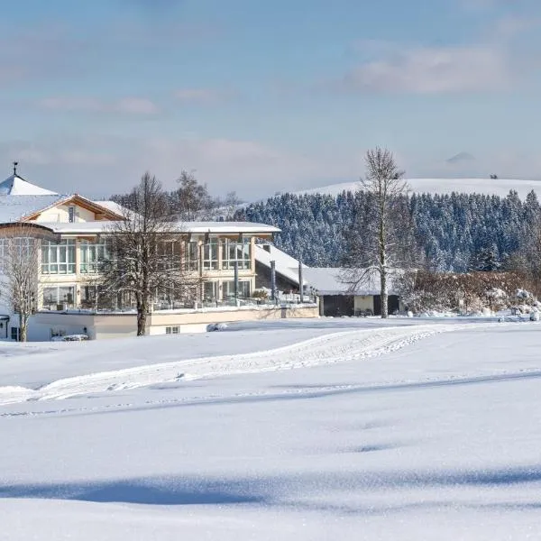 Hanusel Hof Wellness & Genuss in Panoramalage，位于Hellengerst的酒店