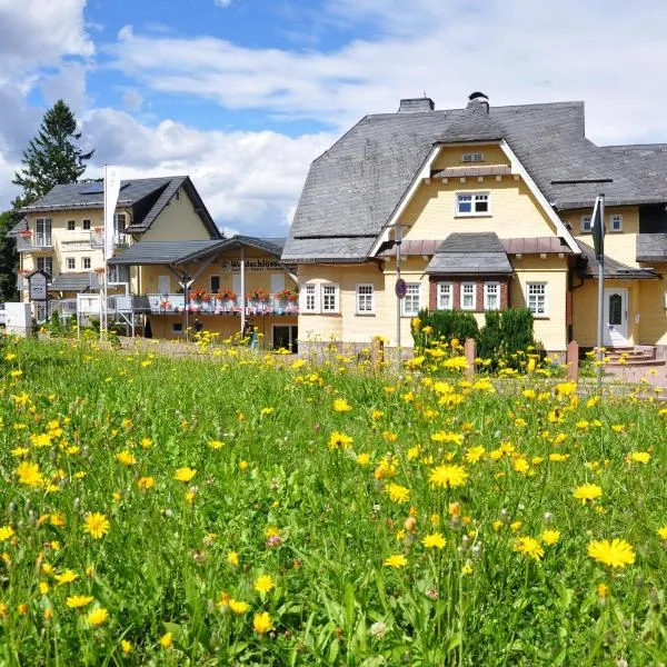 Gaststätte & Pension Waldschlösschen，位于苏尔的酒店