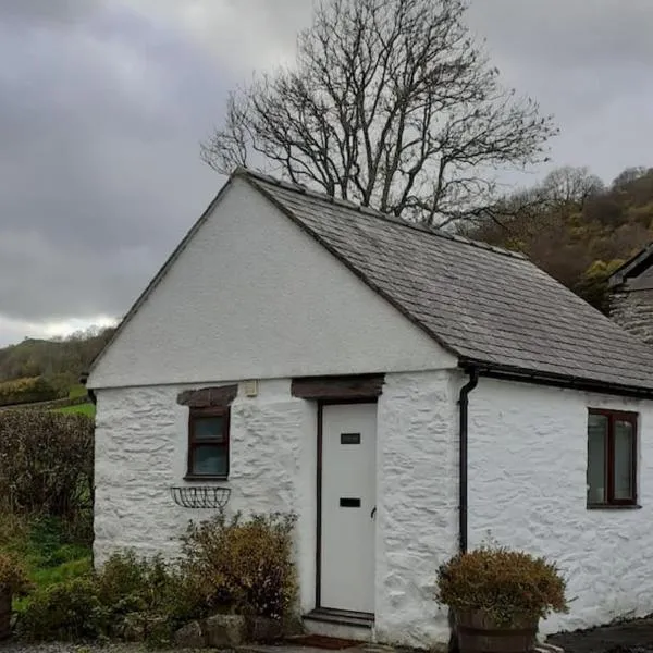 Y Llew Bach, the tiny house，位于Llansannan的酒店